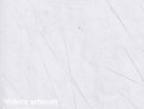 Volvox Dacapo Lehmstucco alabaster 5 Liter
