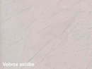 Volvox Dacapo Lehmstucco astilbe 5 Liter